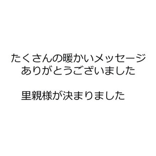 里親様がきまりました。ありがとうございました。