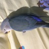 潜り…そのまま熟睡。別の日ver