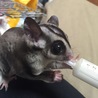 ミルクターイム！大きくなったね〜