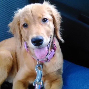 3ヶ月になりました！