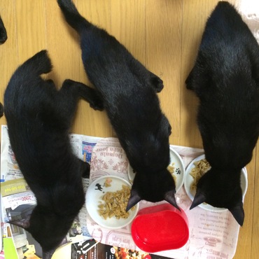 3ショット