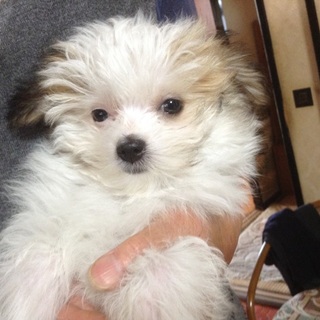 ありがとうございました。