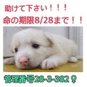 家族ができました！！