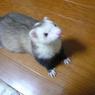 たくさんのご応募ありがとうございました