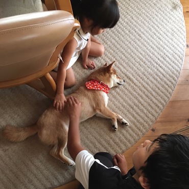 の写真