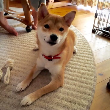 の写真