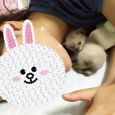 ごろにゃー