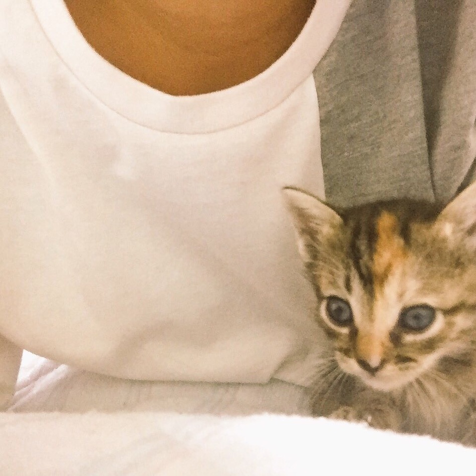 ツキのカバー写真