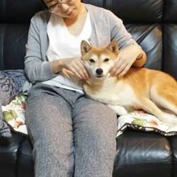 「仲良し」サムネイル1