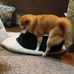 「仲良し」サムネイル3