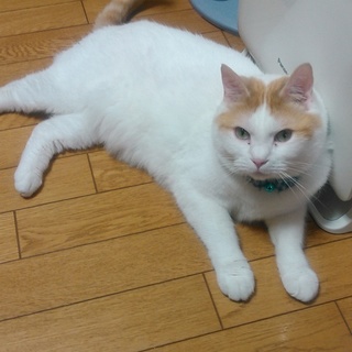 ありがとうございました。