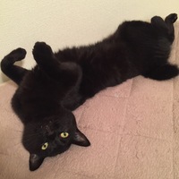 ちゃい
