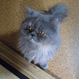 良いご縁に感謝いたします!!