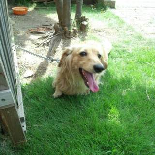 一旦ストップ致します。