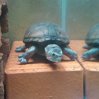 ありがとうございました。