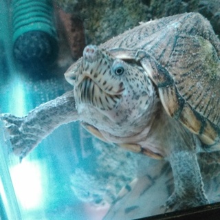 ありがとうございました。