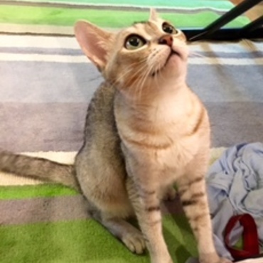くるみちゃん❤