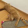 の写真