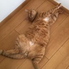 の写真