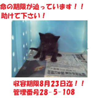 お迎えありがとうございました(#^.^#)