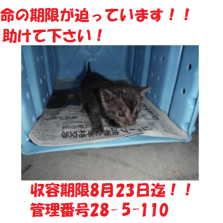 お迎えありがとうございました(#^.^#)