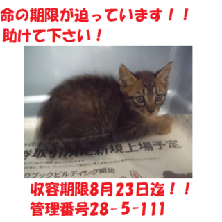 お迎えありがとうございました(#^.^#)