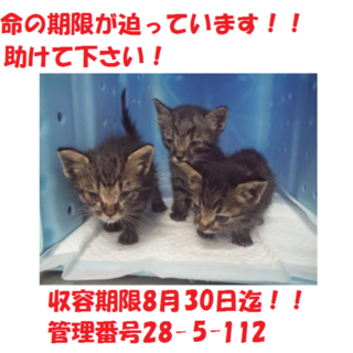 お迎えありがとうございました(#^.^#)