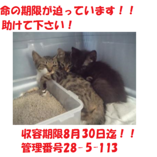 お迎えありがとうございました(#^.^#)