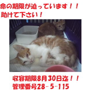 お迎えありがとうございました(#^.^#)