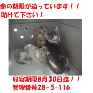 お迎えありがとうございました(#^.^#)