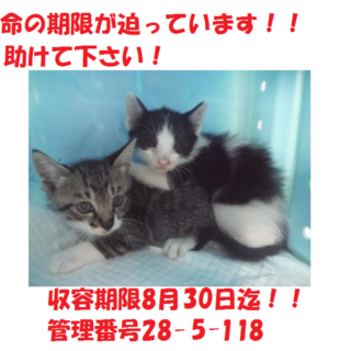 お迎えありがとうございました(#^.^#)