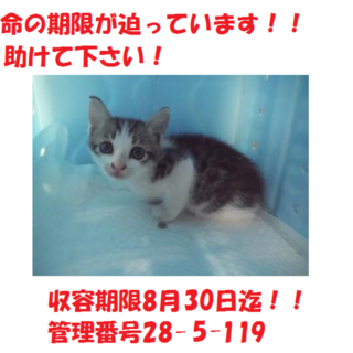 お迎えありがとうございました(#^.^#)