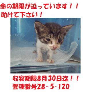 お迎えありがとうございました(#^.^#)