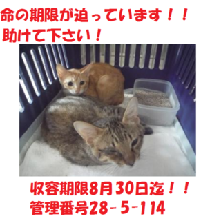 お迎えありがとうございました(#^.^#)