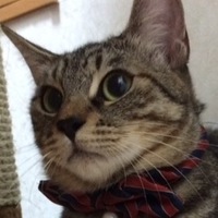 ショコラ