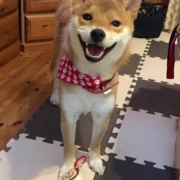 の写真