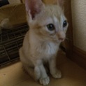 もらって下さい