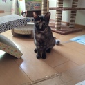 もらって下さい。