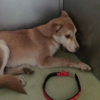 健気な女の子 まだ１歳 