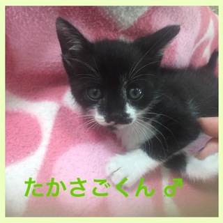 可愛すぎる！たかさごくん♡