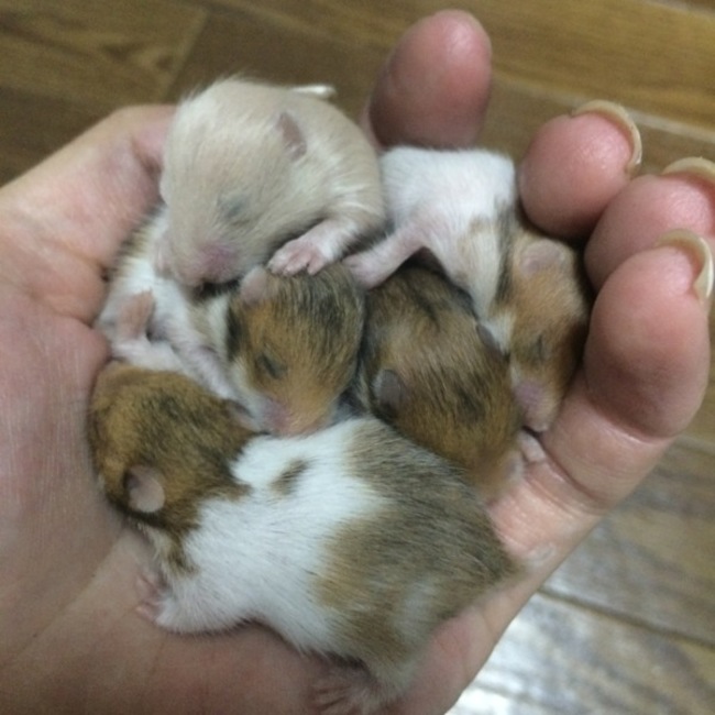 ayumi0821のカバー写真