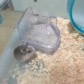 ありがとうございました！