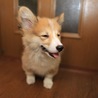 Midi(ミディ)