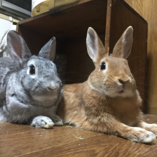 minato_kのカバー写真