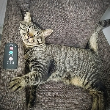 の写真