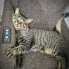 の写真