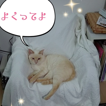 玉座