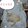 玉座