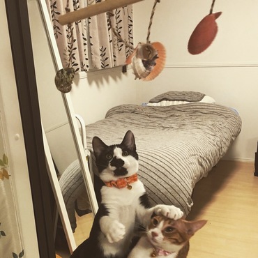 お土産の壁掛けと格闘中