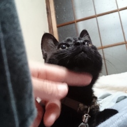 仲良くなりました